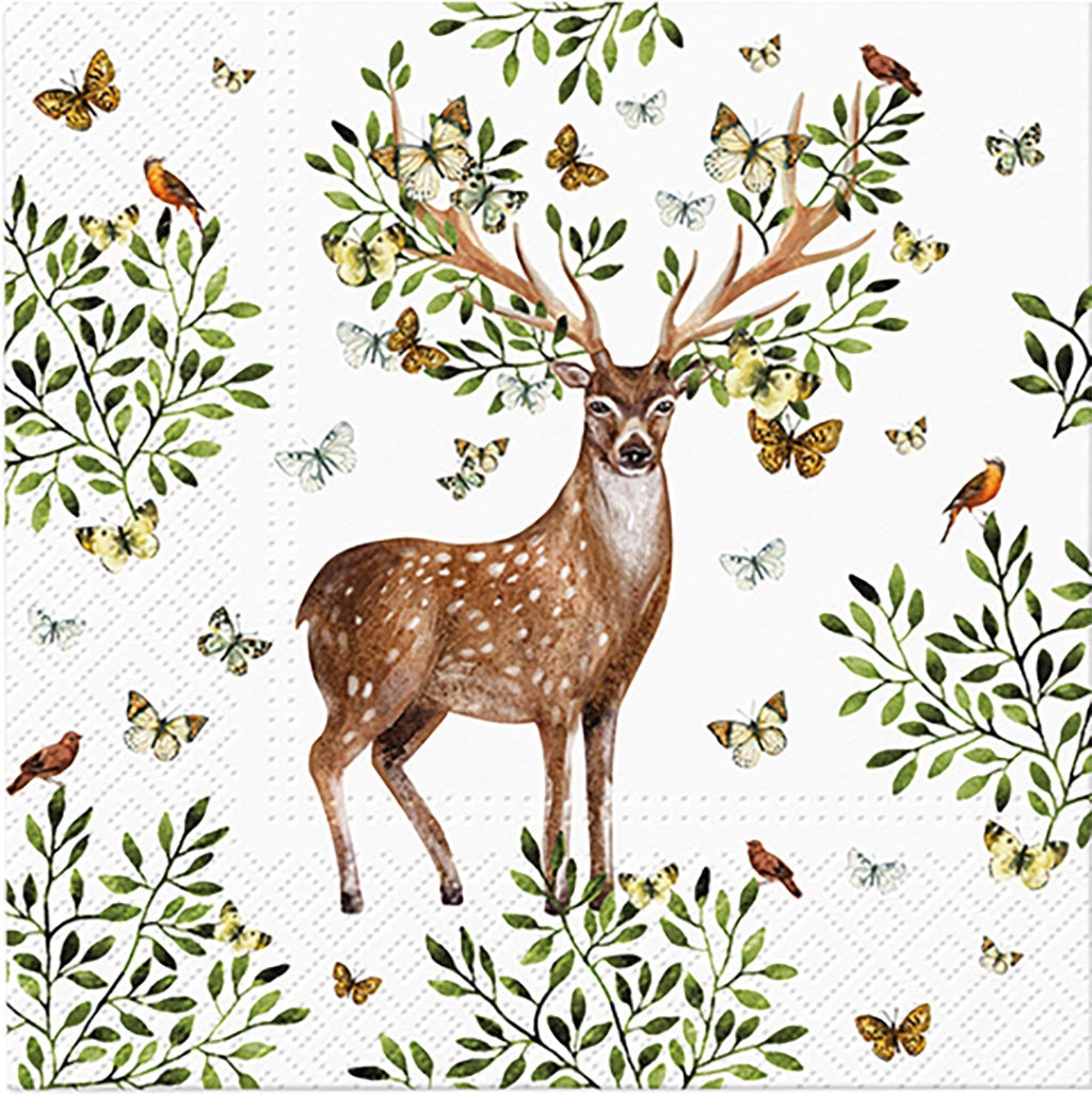 CONF. 20 TOVAGLIOLI CON CERVO PAW