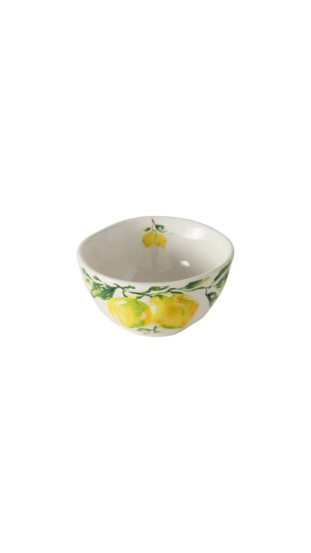 CIOTOLA CON LIMONI - BOLTZE