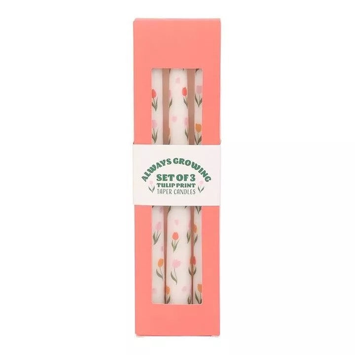 SET DI 3 CANDELE CONICHE CON TULIPANI - SDW