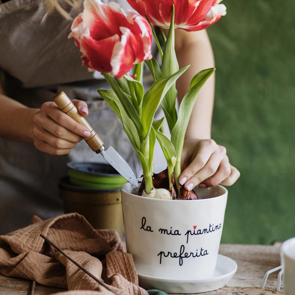 VASO "LA MIA PIANTINA PREFERITA" D15X12CM - SIMPLE DAY