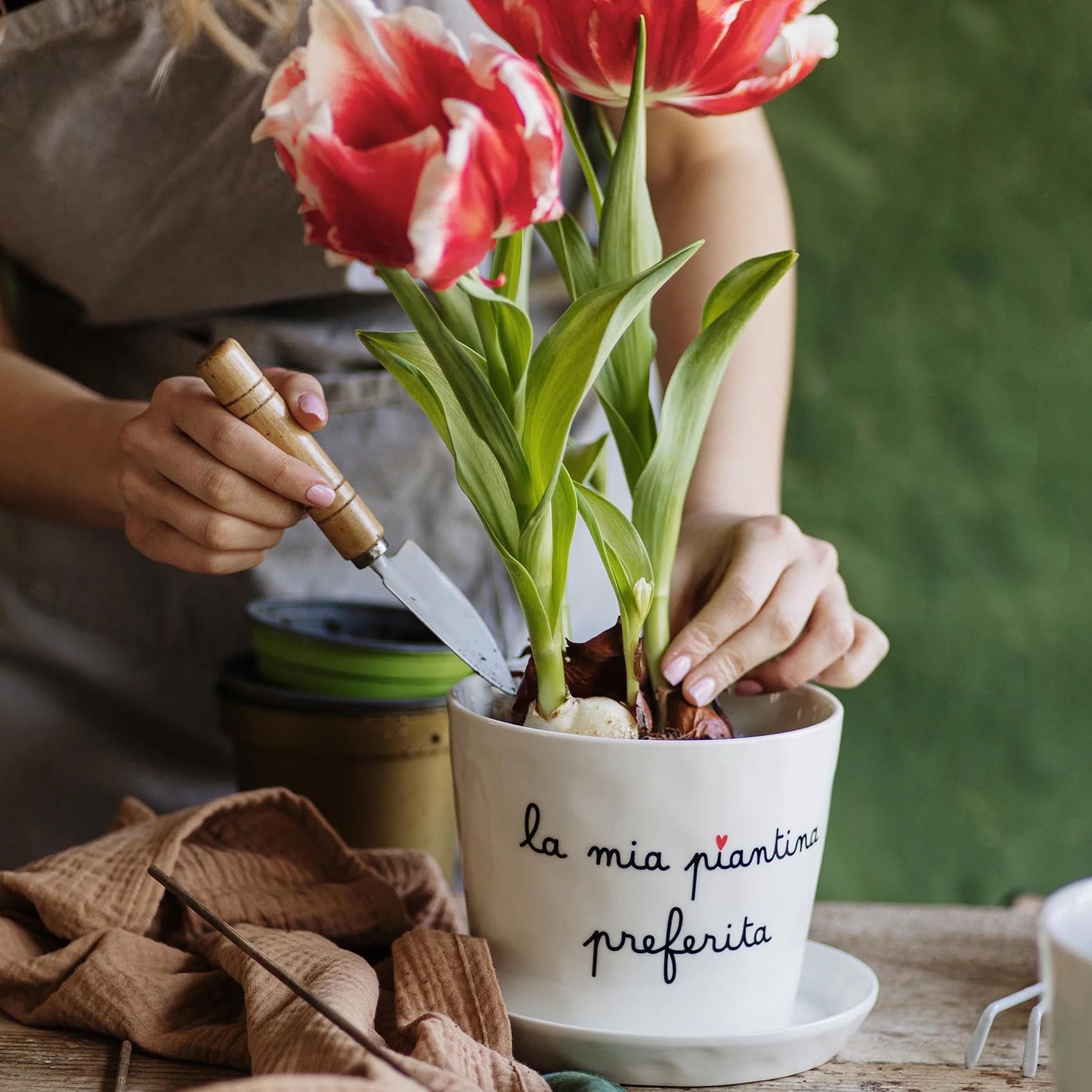 VASO "LA MIA PIANTINA PREFERITA" D15X12CM - SIMPLE DAY