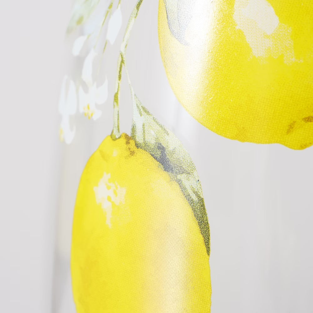 BROCCA CAPRI CON LIMONI - BOLTZE