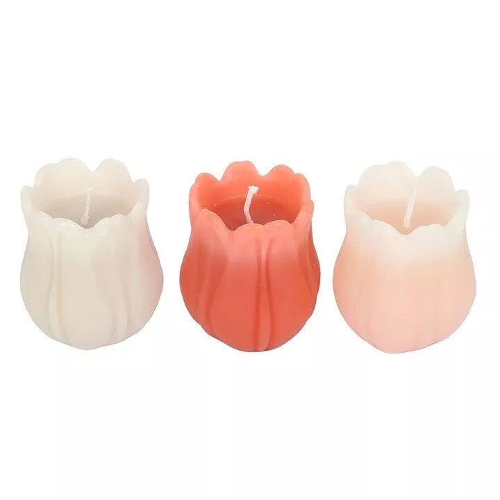 SET 3 CANDELE A FORMA DI TULIPANO - SDW