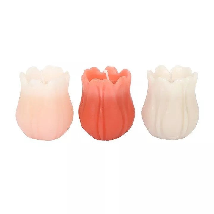SET 3 CANDELE A FORMA DI TULIPANO - SDW