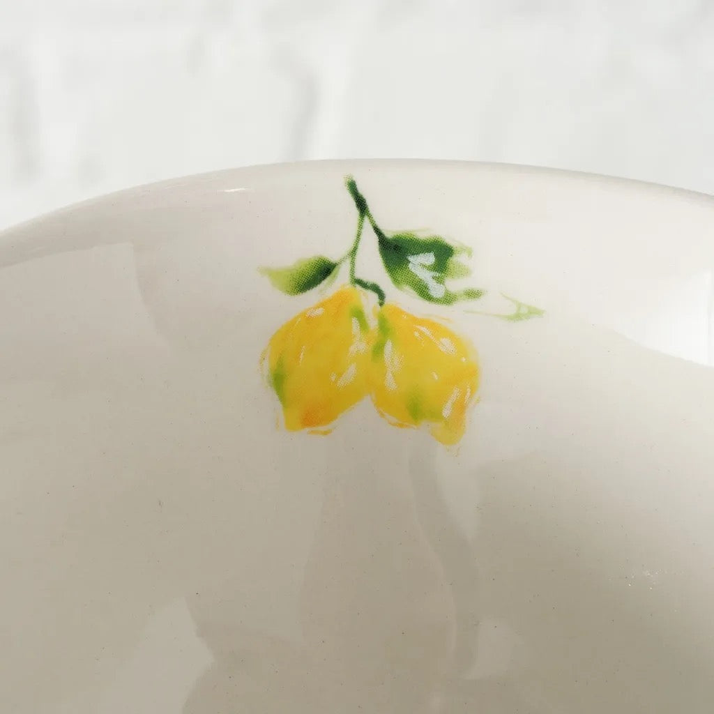 CIOTOLA CON LIMONI - BOLTZE