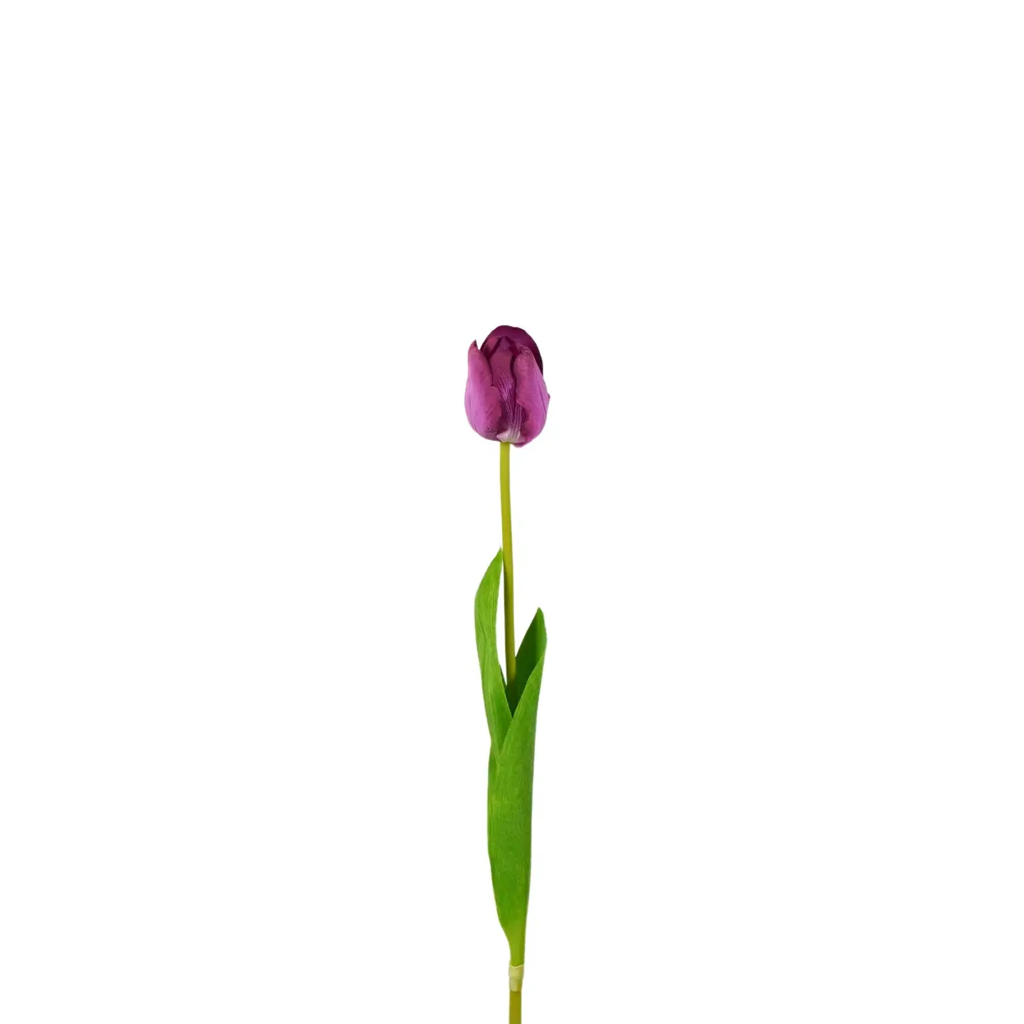 TULIPANO ARTIFICIALE VIOLA 50cm - FLORIËTTE