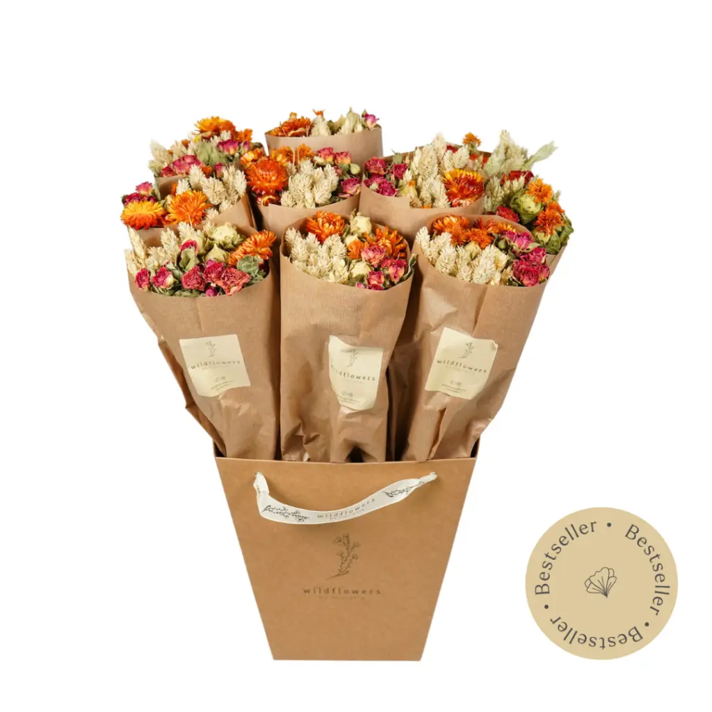 FIORI SECCHI MARKET MORE BOUQUET ARANCIO - FLORIËTTE